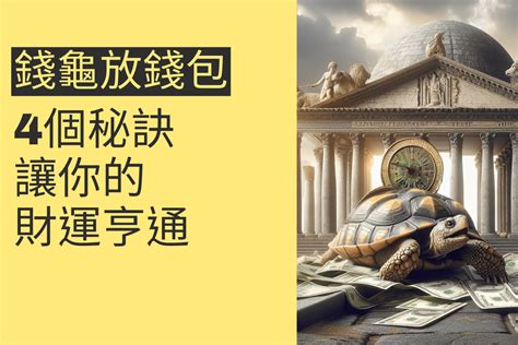 錢龜要放哪裡|錢龜怎麼放？財運亨通的擺放學問